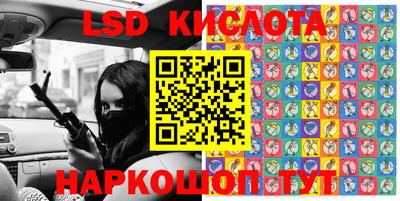 гашик Донской