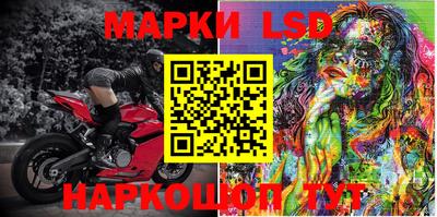 гашик Донской