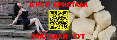 гашик Донской