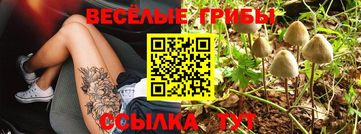 Менделеевск  Галлюциногенные грибы GOLDEN TEACHER  Вход с VPN 